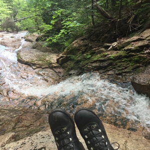 Fundraising Page: Colleen 'Coco' Gendron